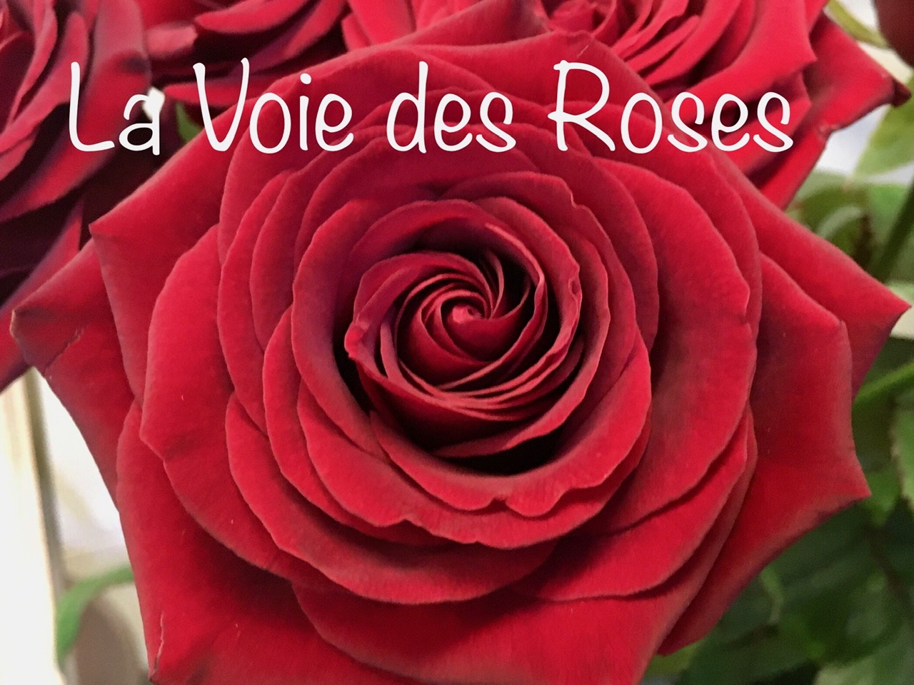 Stage: Féminin Sacré « la voie des Roses »