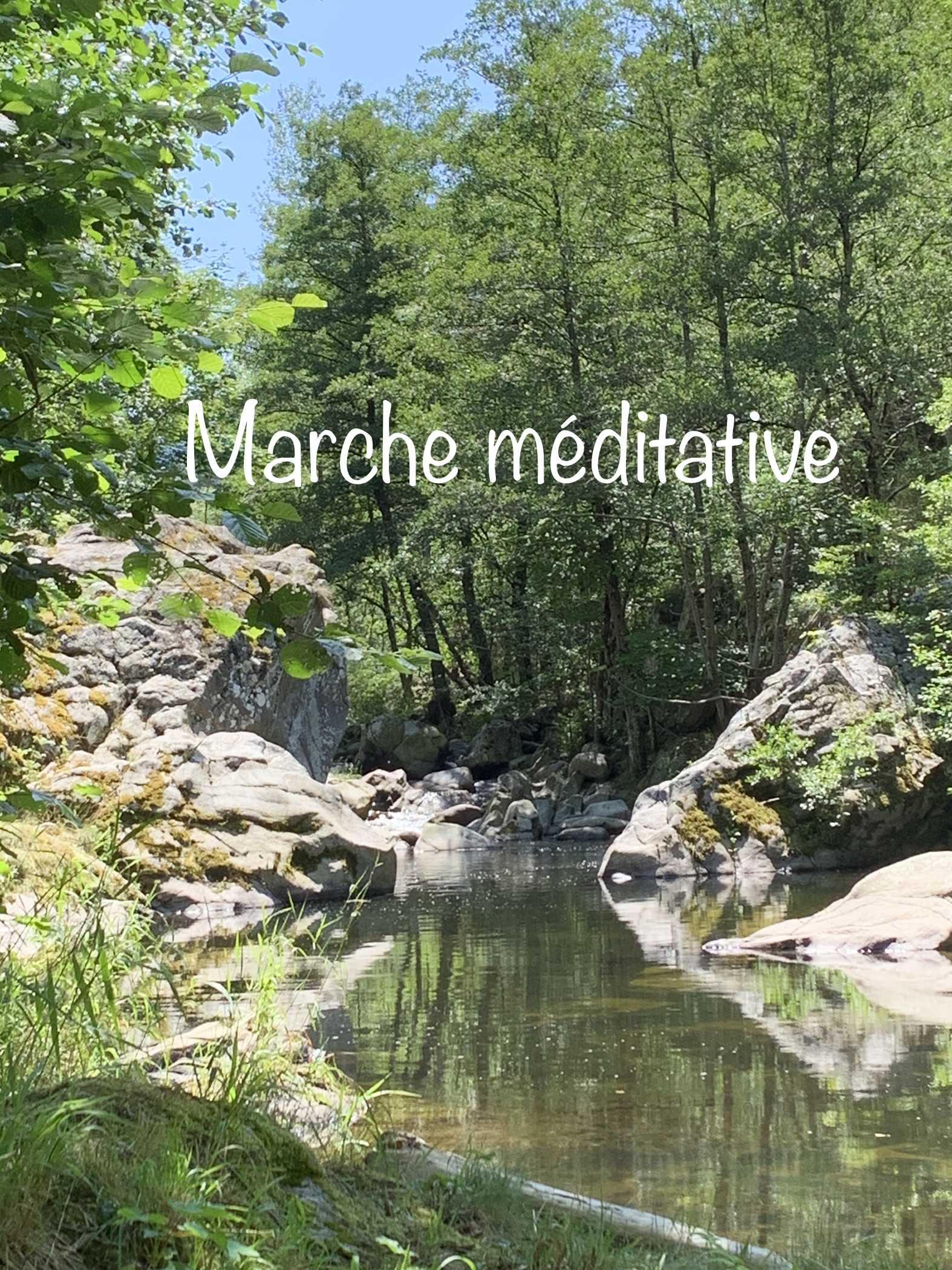 Marche méditative en Nature Authentique